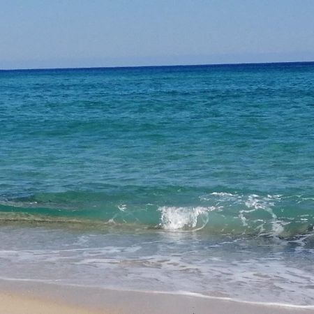 كوستا ري Home Beach Costa Rey المظهر الخارجي الصورة